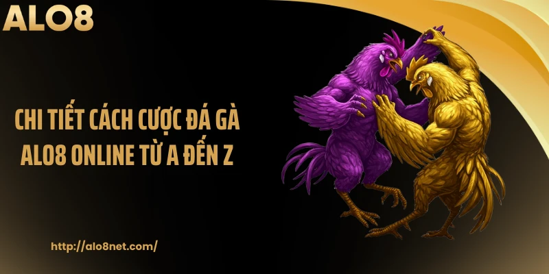 Chi tiết cách cược đá gà ALO8 online từ A đến Z
