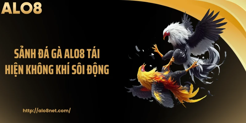 Sảnh đá gà ALO8 tái hiện không khí sôi động